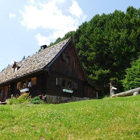 Вилла Almhuette Oedenhuebl Sankt Wolfgang Экстерьер фото
